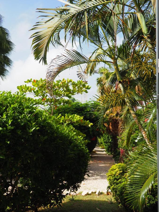 Kas Di Bami A-186 Op Seru Coral Resort - Ruim Appartement Met Groot Zwembad En Tropische Tuin Willemstad Extérieur photo